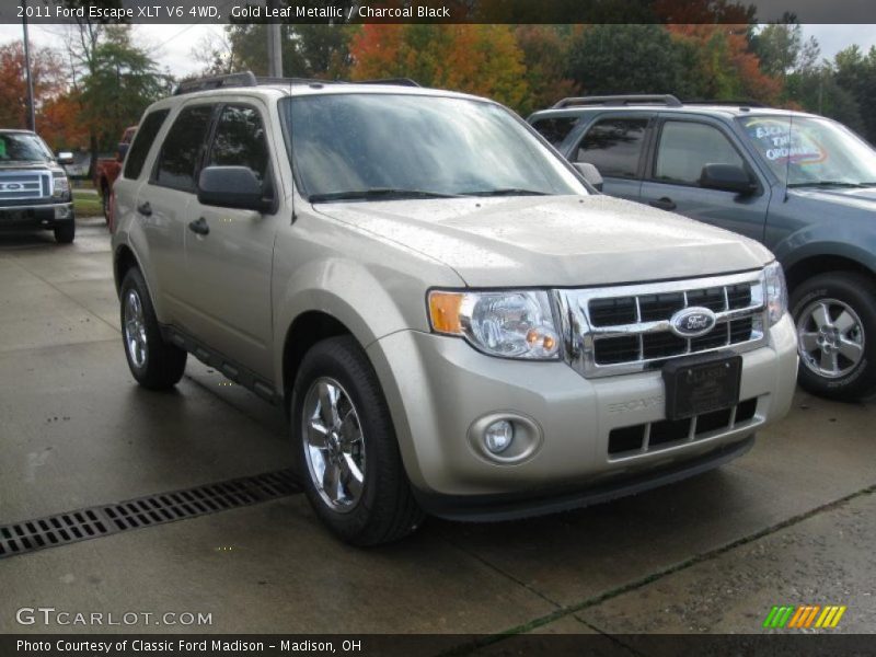 Gold Leaf Metallic / Charcoal Black 2011 Ford Escape XLT V6 4WD