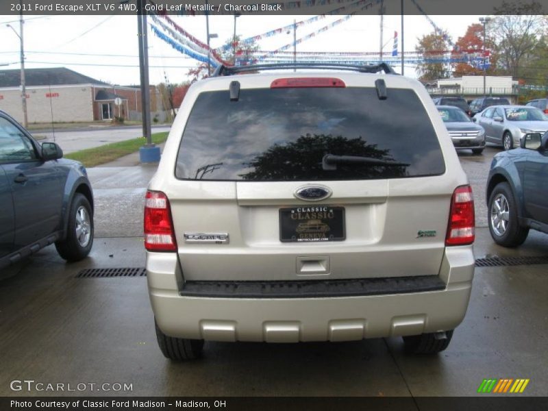 Gold Leaf Metallic / Charcoal Black 2011 Ford Escape XLT V6 4WD