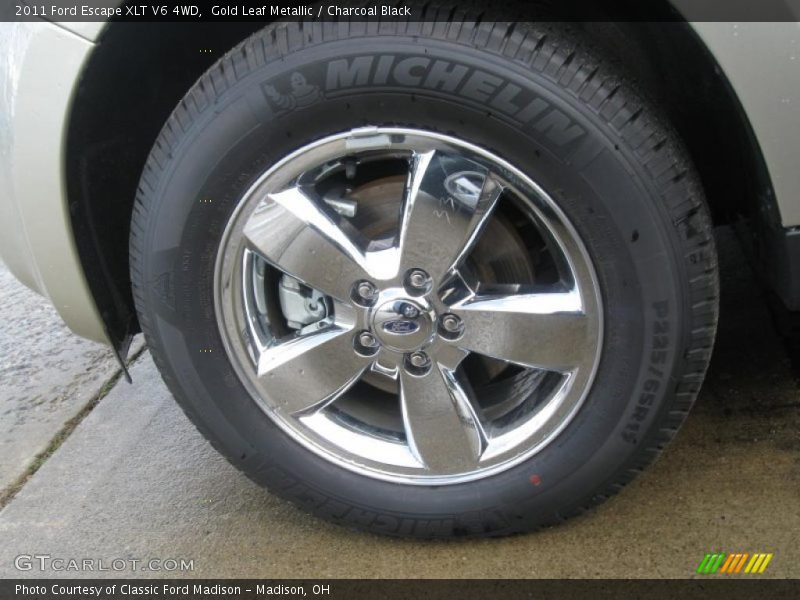 Gold Leaf Metallic / Charcoal Black 2011 Ford Escape XLT V6 4WD