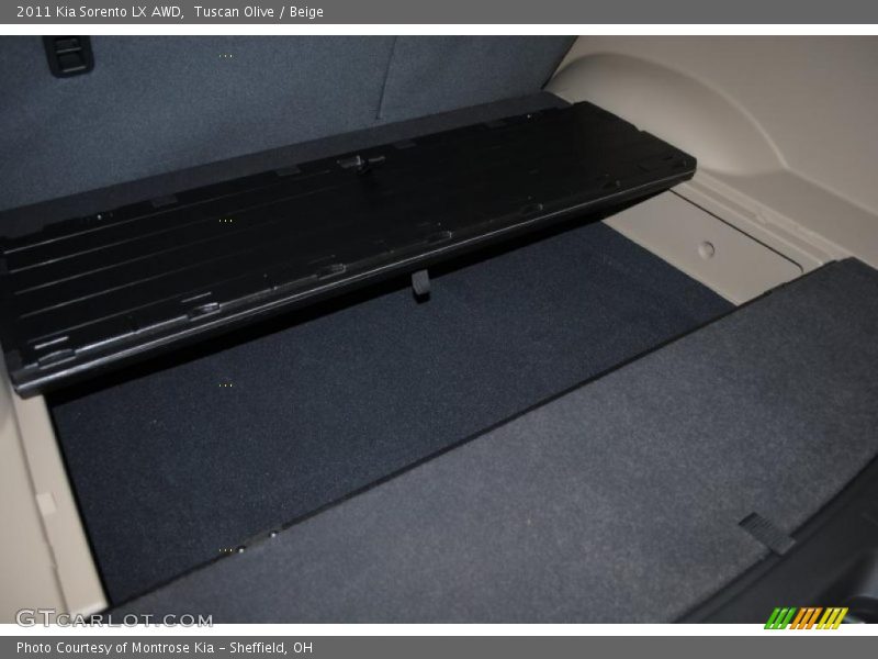 Tuscan Olive / Beige 2011 Kia Sorento LX AWD