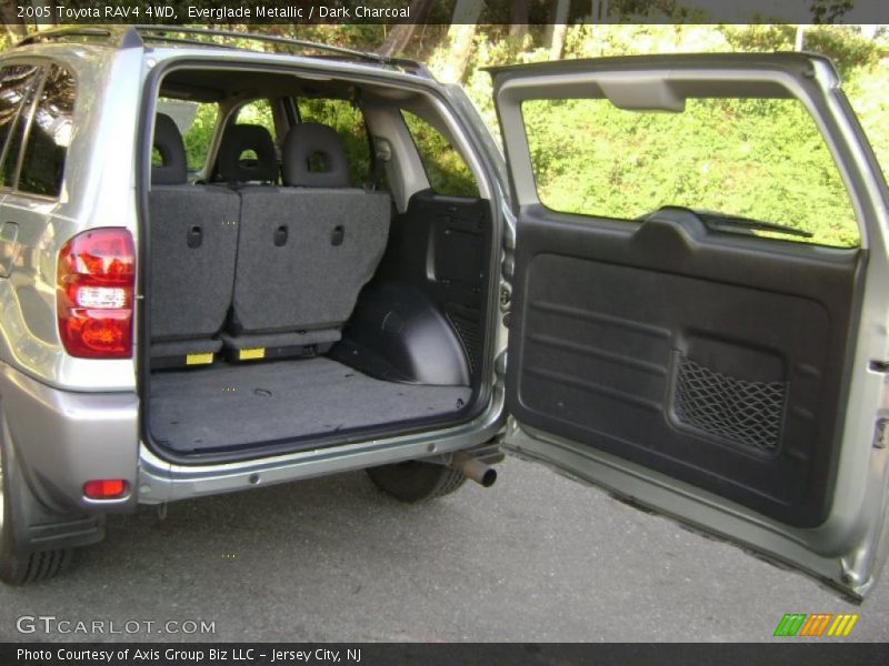Everglade Metallic / Dark Charcoal 2005 Toyota RAV4 4WD
