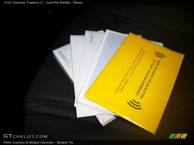 Gold Mist Metallic / Ebony 2010 Chevrolet Traverse LT