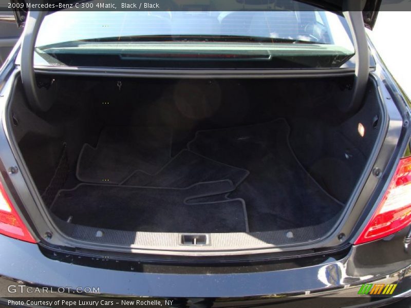 Black / Black 2009 Mercedes-Benz C 300 4Matic