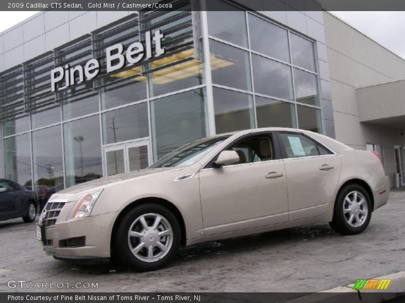 Gold Mist / Cashmere/Cocoa 2009 Cadillac CTS Sedan
