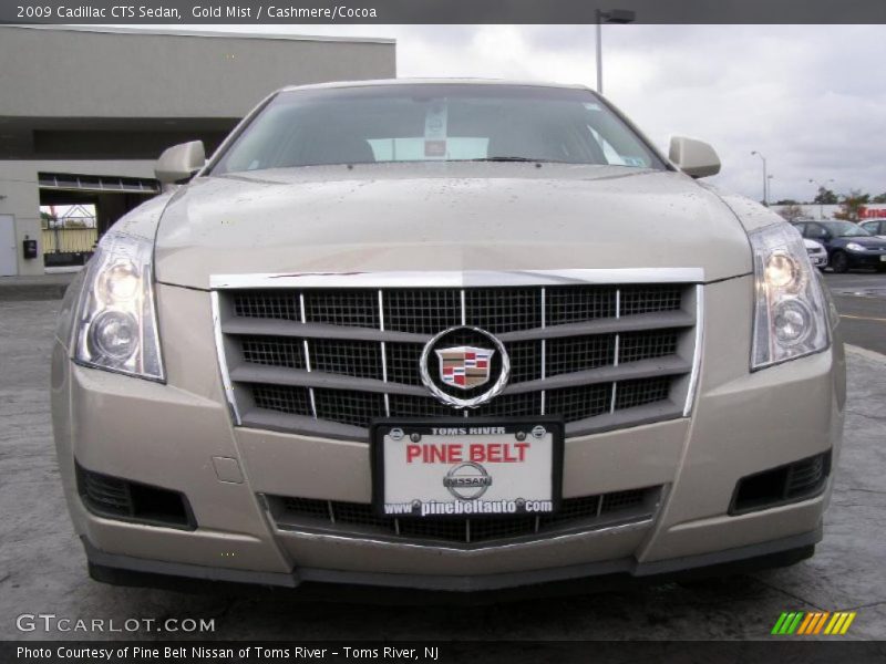 Gold Mist / Cashmere/Cocoa 2009 Cadillac CTS Sedan
