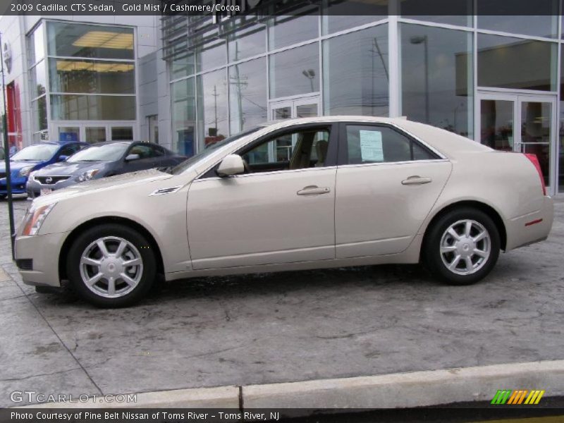 Gold Mist / Cashmere/Cocoa 2009 Cadillac CTS Sedan