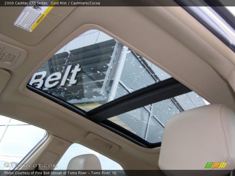 Gold Mist / Cashmere/Cocoa 2009 Cadillac CTS Sedan