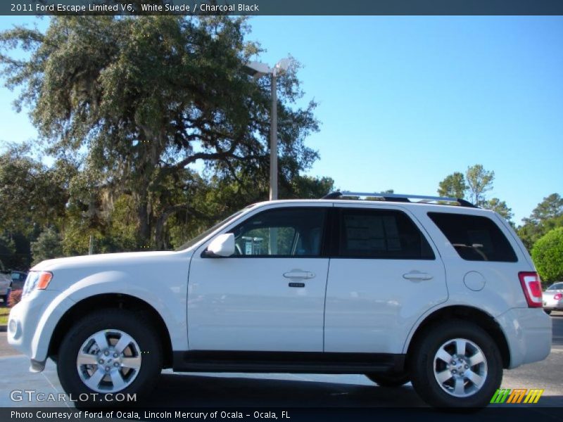 White Suede / Charcoal Black 2011 Ford Escape Limited V6