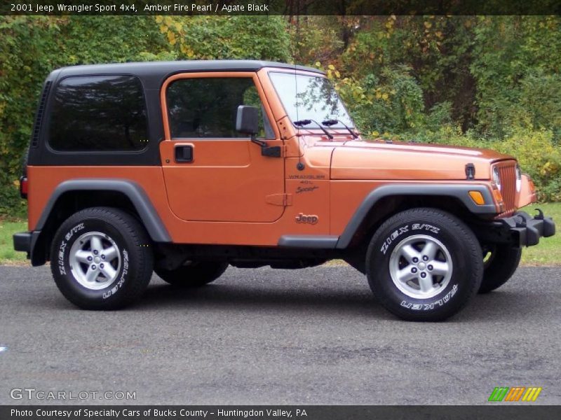 Amber Fire Pearl / Agate Black 2001 Jeep Wrangler Sport 4x4