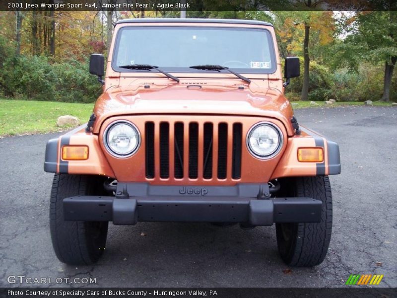 Amber Fire Pearl / Agate Black 2001 Jeep Wrangler Sport 4x4