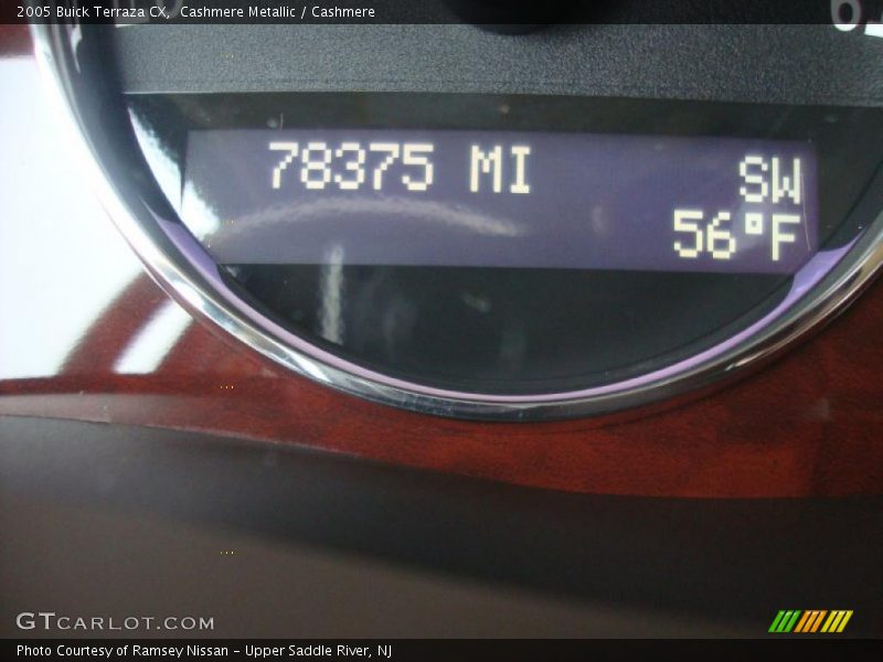 Cashmere Metallic / Cashmere 2005 Buick Terraza CX