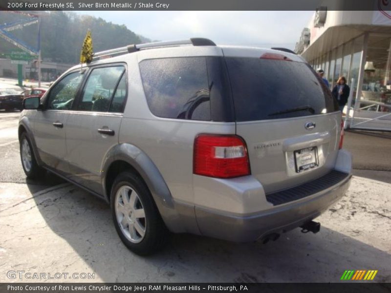 Silver Birch Metallic / Shale Grey 2006 Ford Freestyle SE