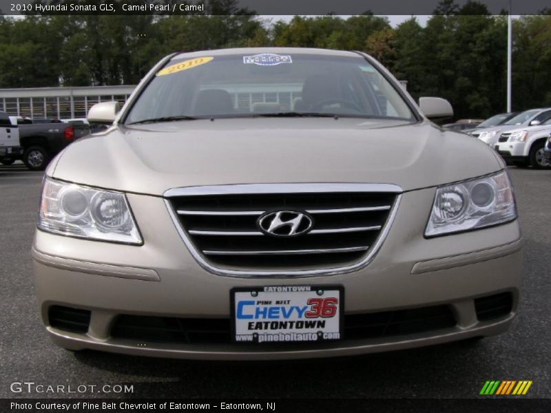 Camel Pearl / Camel 2010 Hyundai Sonata GLS