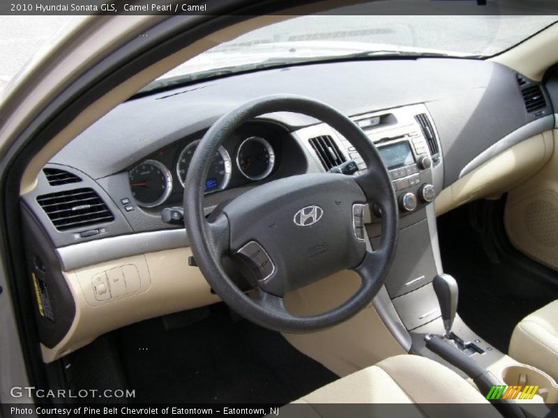 Camel Pearl / Camel 2010 Hyundai Sonata GLS