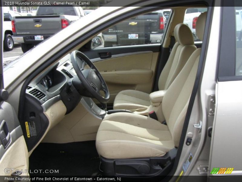 Camel Pearl / Camel 2010 Hyundai Sonata GLS