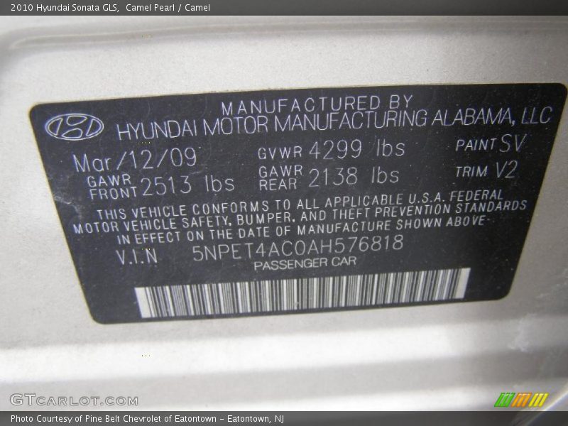 Camel Pearl / Camel 2010 Hyundai Sonata GLS