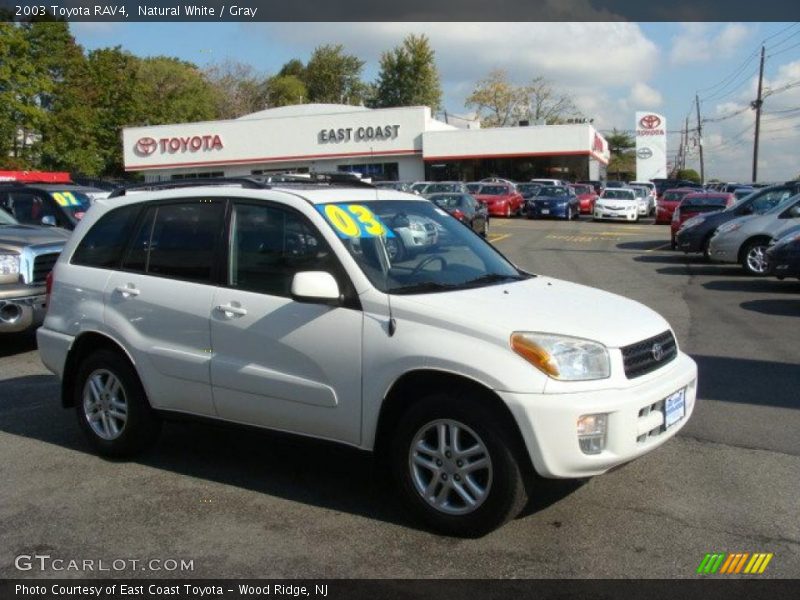 Natural White / Gray 2003 Toyota RAV4
