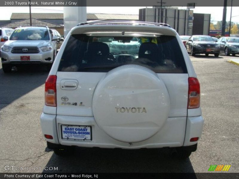 Natural White / Gray 2003 Toyota RAV4