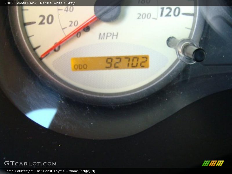 Natural White / Gray 2003 Toyota RAV4
