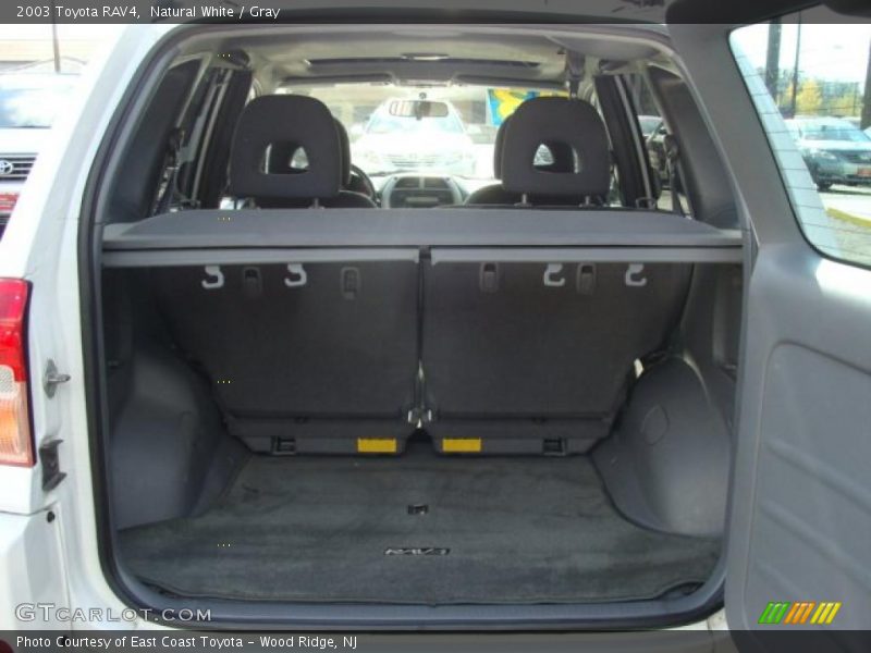Natural White / Gray 2003 Toyota RAV4