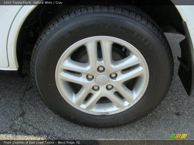 Natural White / Gray 2003 Toyota RAV4