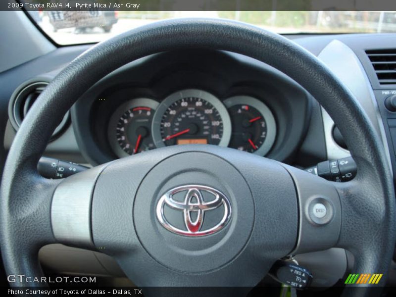 Pyrite Mica / Ash Gray 2009 Toyota RAV4 I4