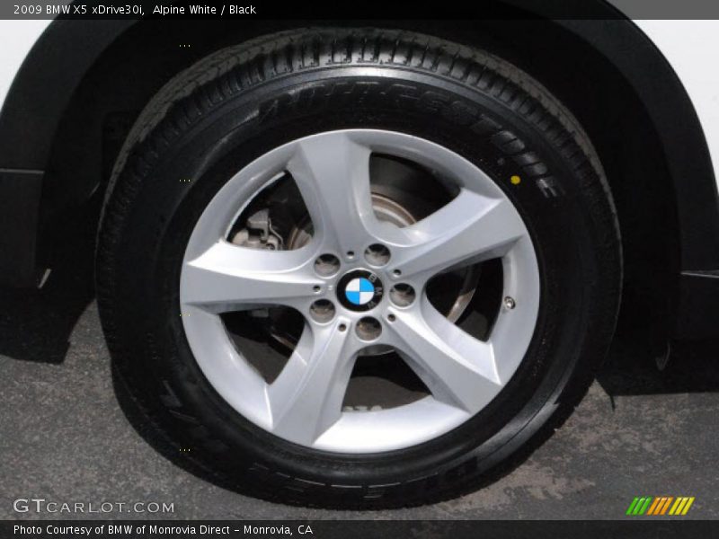Alpine White / Black 2009 BMW X5 xDrive30i