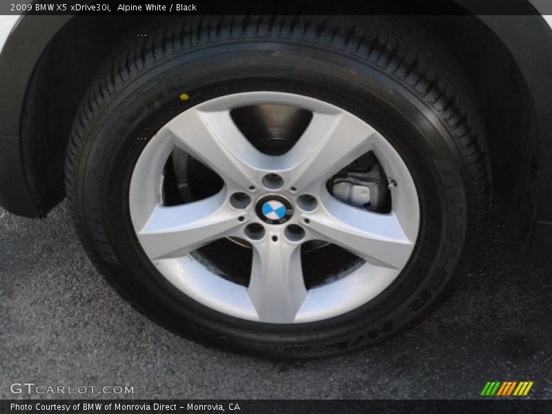 Alpine White / Black 2009 BMW X5 xDrive30i