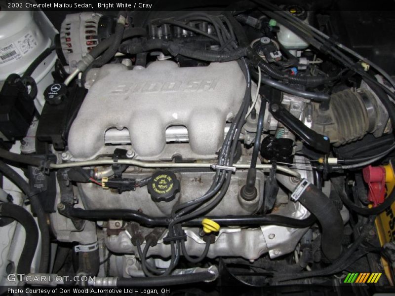 Bright White / Gray 2002 Chevrolet Malibu Sedan