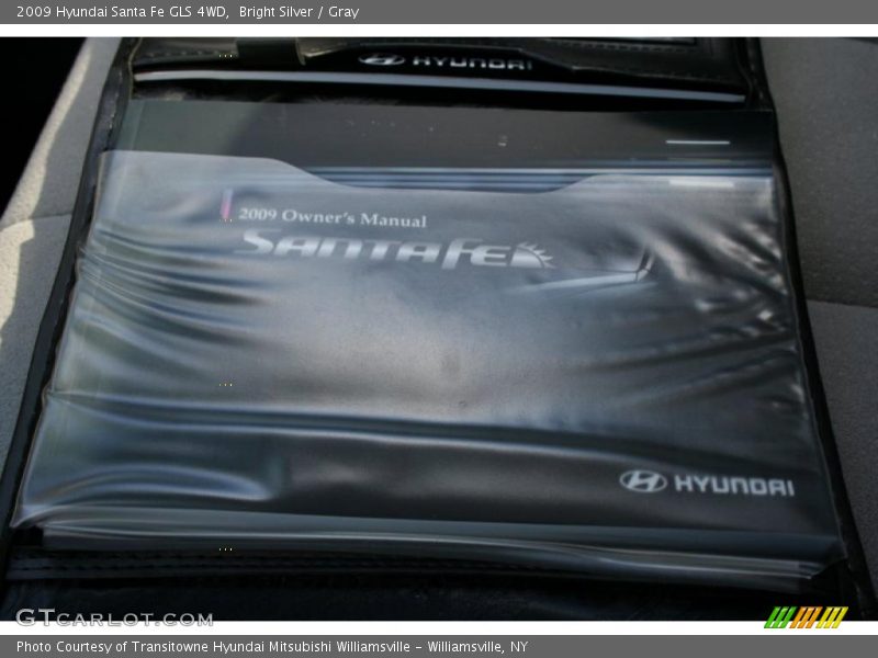 Bright Silver / Gray 2009 Hyundai Santa Fe GLS 4WD