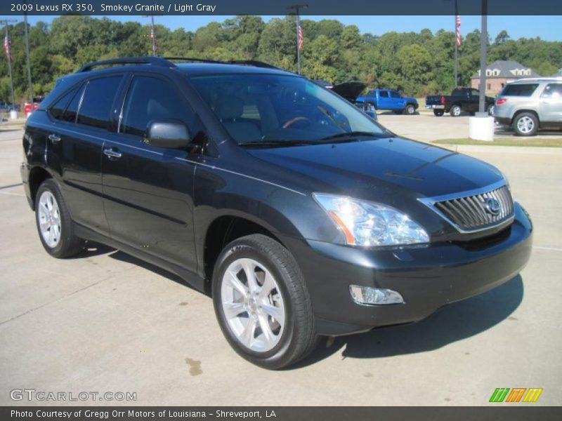  2009 RX 350 Smokey Granite