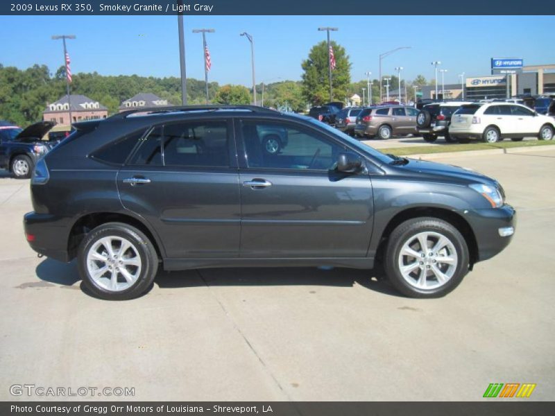 Smokey Granite / Light Gray 2009 Lexus RX 350