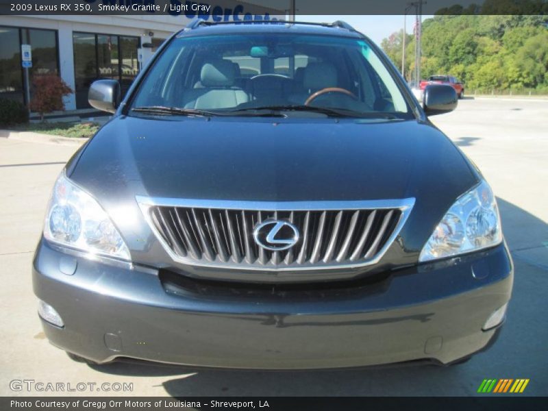 Smokey Granite / Light Gray 2009 Lexus RX 350