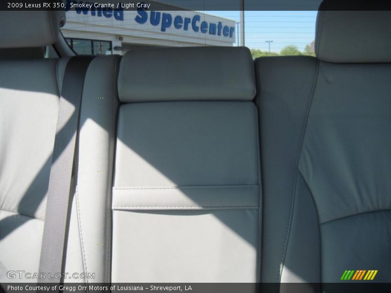 Smokey Granite / Light Gray 2009 Lexus RX 350