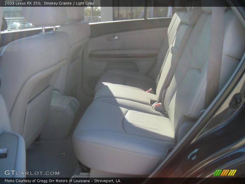 Smokey Granite / Light Gray 2009 Lexus RX 350