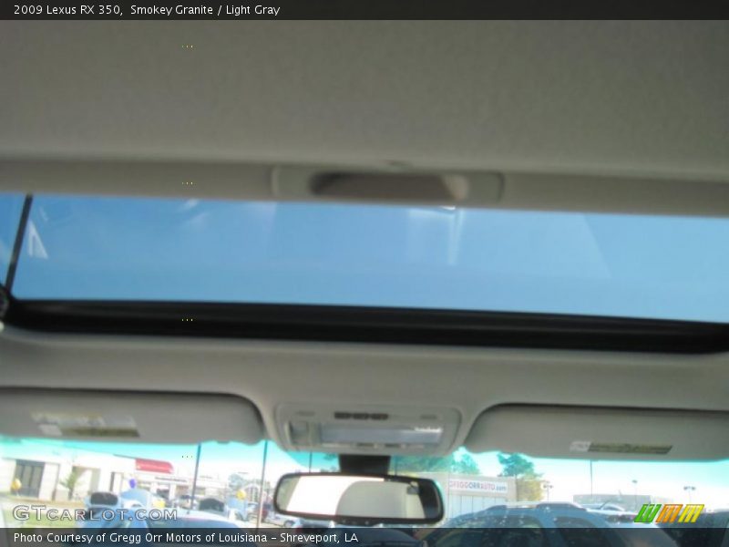 Smokey Granite / Light Gray 2009 Lexus RX 350