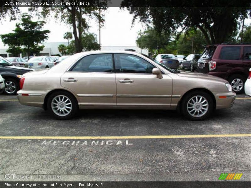Golden Beige / Beige 2005 Hyundai XG350 L