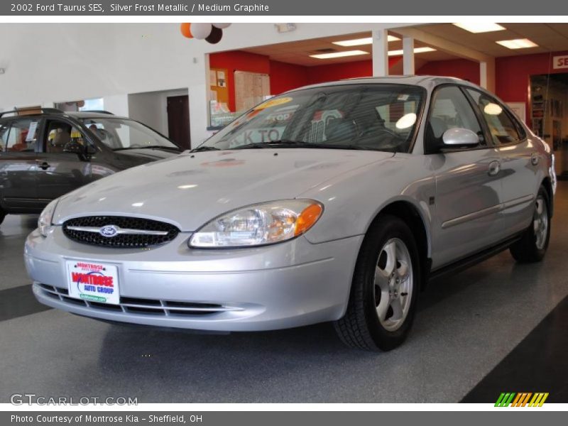 Silver Frost Metallic / Medium Graphite 2002 Ford Taurus SES