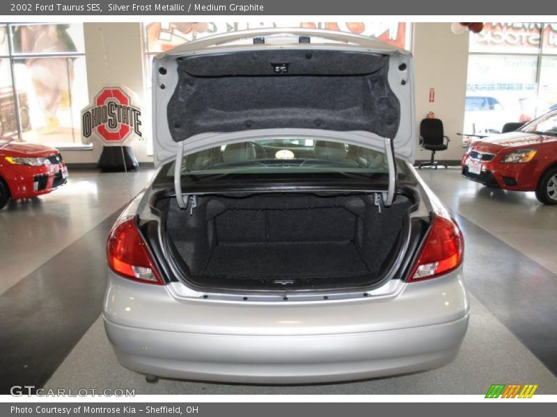 Silver Frost Metallic / Medium Graphite 2002 Ford Taurus SES