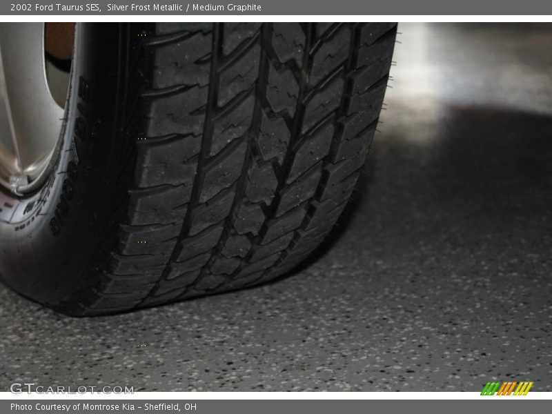 Silver Frost Metallic / Medium Graphite 2002 Ford Taurus SES