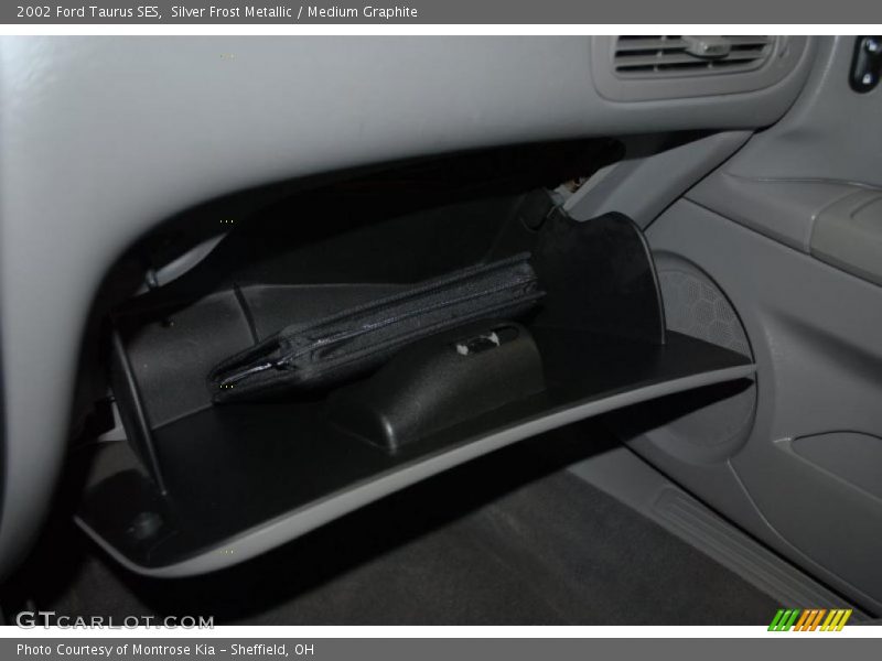 Silver Frost Metallic / Medium Graphite 2002 Ford Taurus SES
