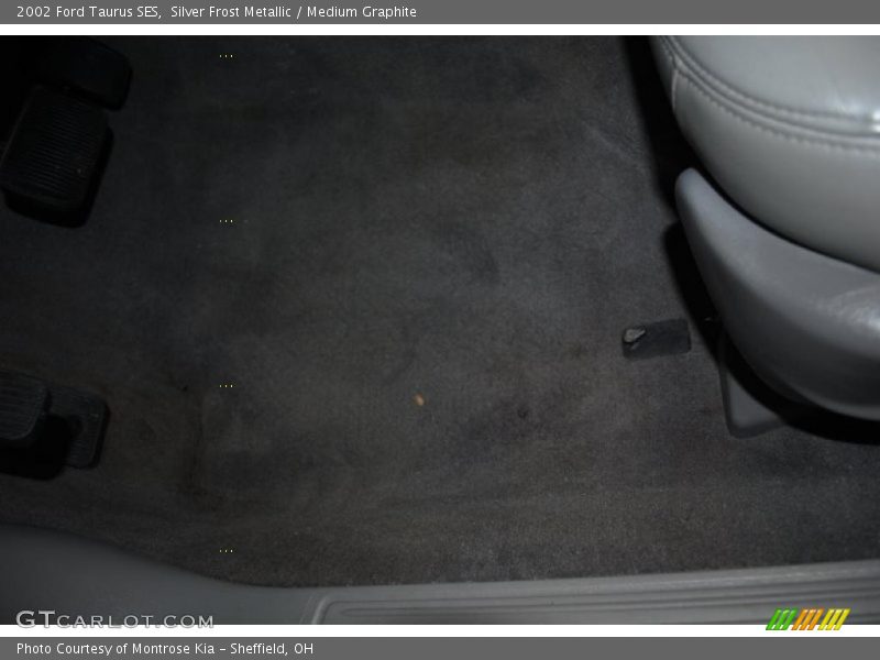 Silver Frost Metallic / Medium Graphite 2002 Ford Taurus SES