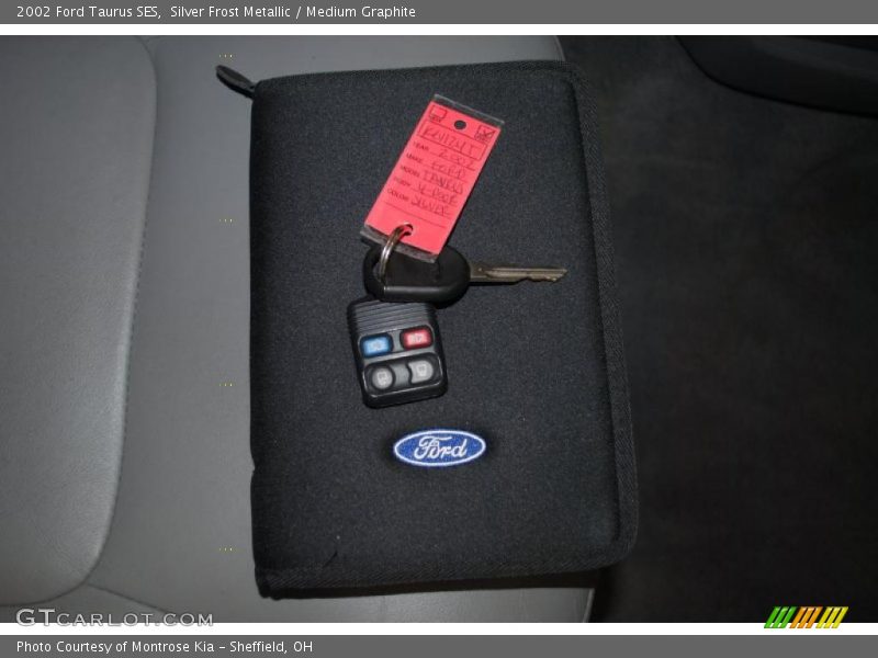 Silver Frost Metallic / Medium Graphite 2002 Ford Taurus SES