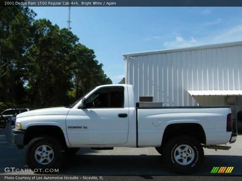 Bright White / Agate 2001 Dodge Ram 1500 Regular Cab 4x4