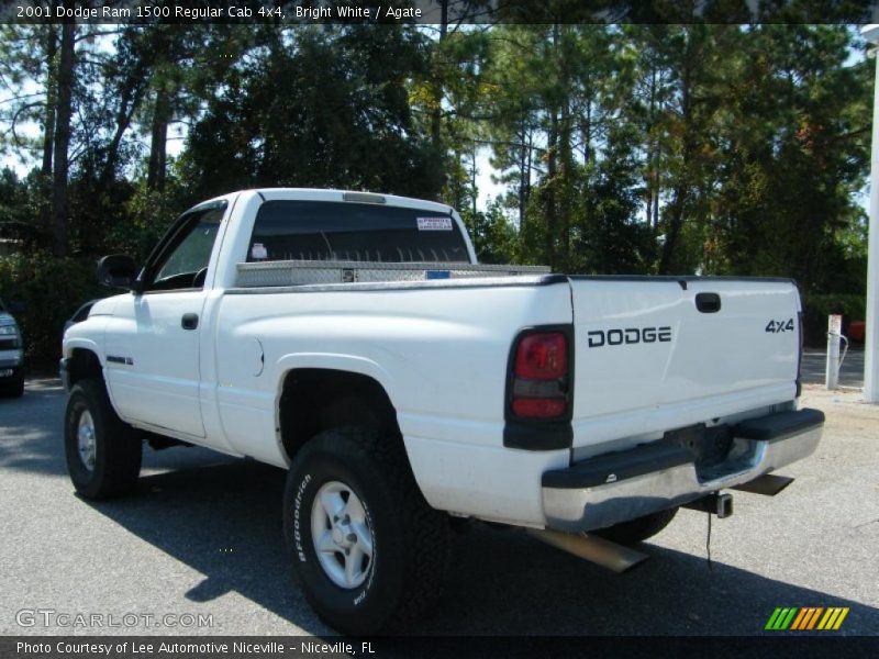 Bright White / Agate 2001 Dodge Ram 1500 Regular Cab 4x4