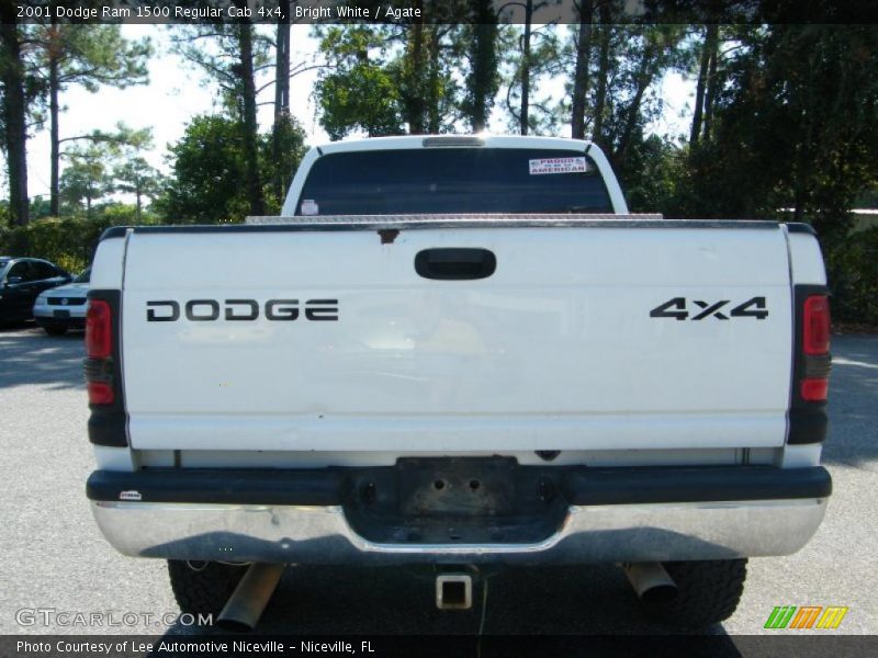 Bright White / Agate 2001 Dodge Ram 1500 Regular Cab 4x4