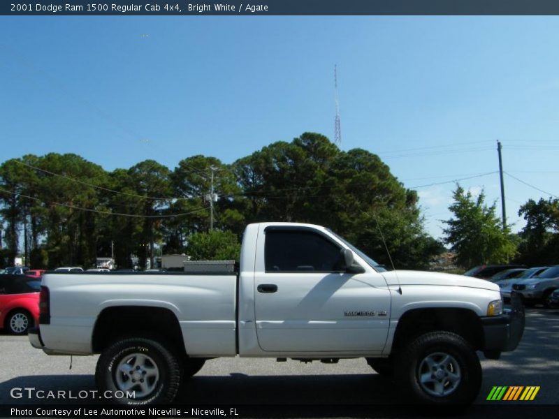 Bright White / Agate 2001 Dodge Ram 1500 Regular Cab 4x4