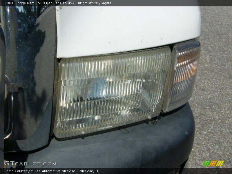 Bright White / Agate 2001 Dodge Ram 1500 Regular Cab 4x4