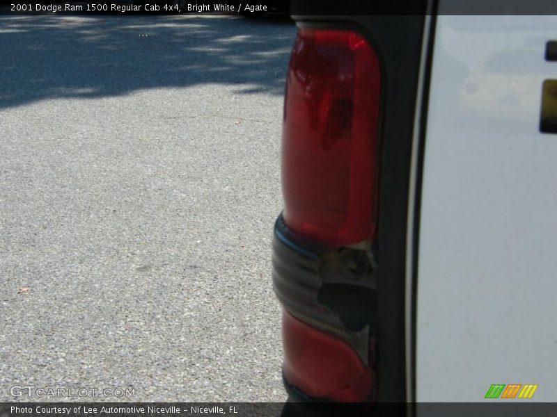 Bright White / Agate 2001 Dodge Ram 1500 Regular Cab 4x4