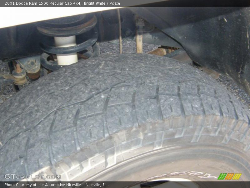 Bright White / Agate 2001 Dodge Ram 1500 Regular Cab 4x4